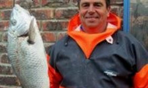 Pearly Beach versus Alpha